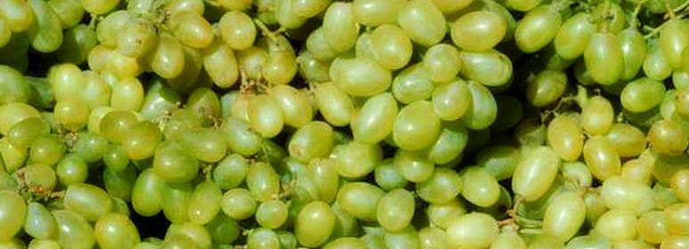 �����Ϯ�